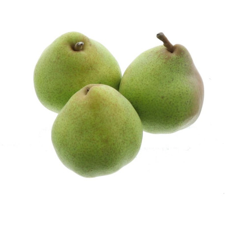 POIRE DOYENNE DE COMICE LITEE 7KG